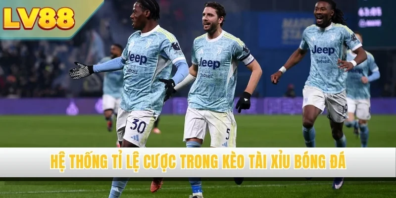 Hệ thống tỉ lệ cược trong kèo tài xỉu bóng đá
