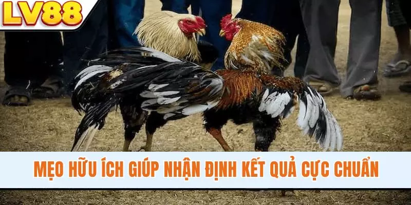Mẹo hữu ích giúp nhận định kết quả cực chuẩn
